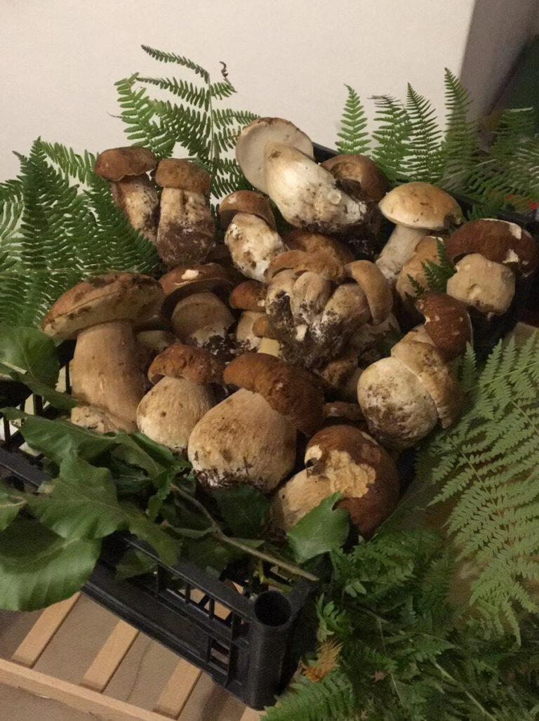 ristorante martina franca centro storico romita porcini